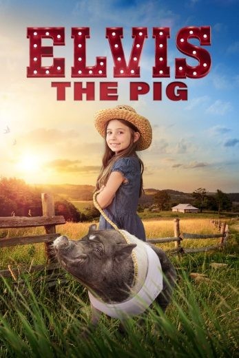 مشاهدة فيلم Elvis the Pig 2022 مترجم مشاهدة فيلم Elvis the Pig 2022 مترجم